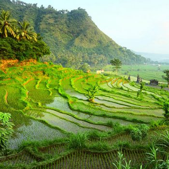 tour Bali 2