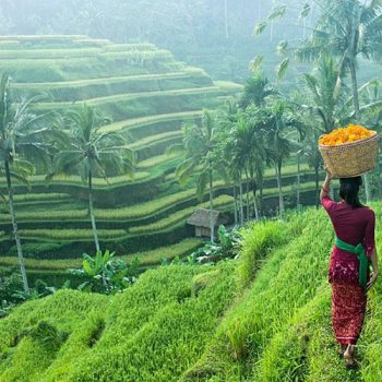 tour Bali